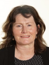 Sandy Wills